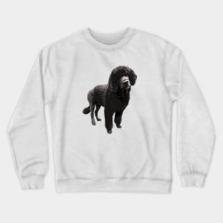 Portugese Water Dog Crewneck Sweatshirt